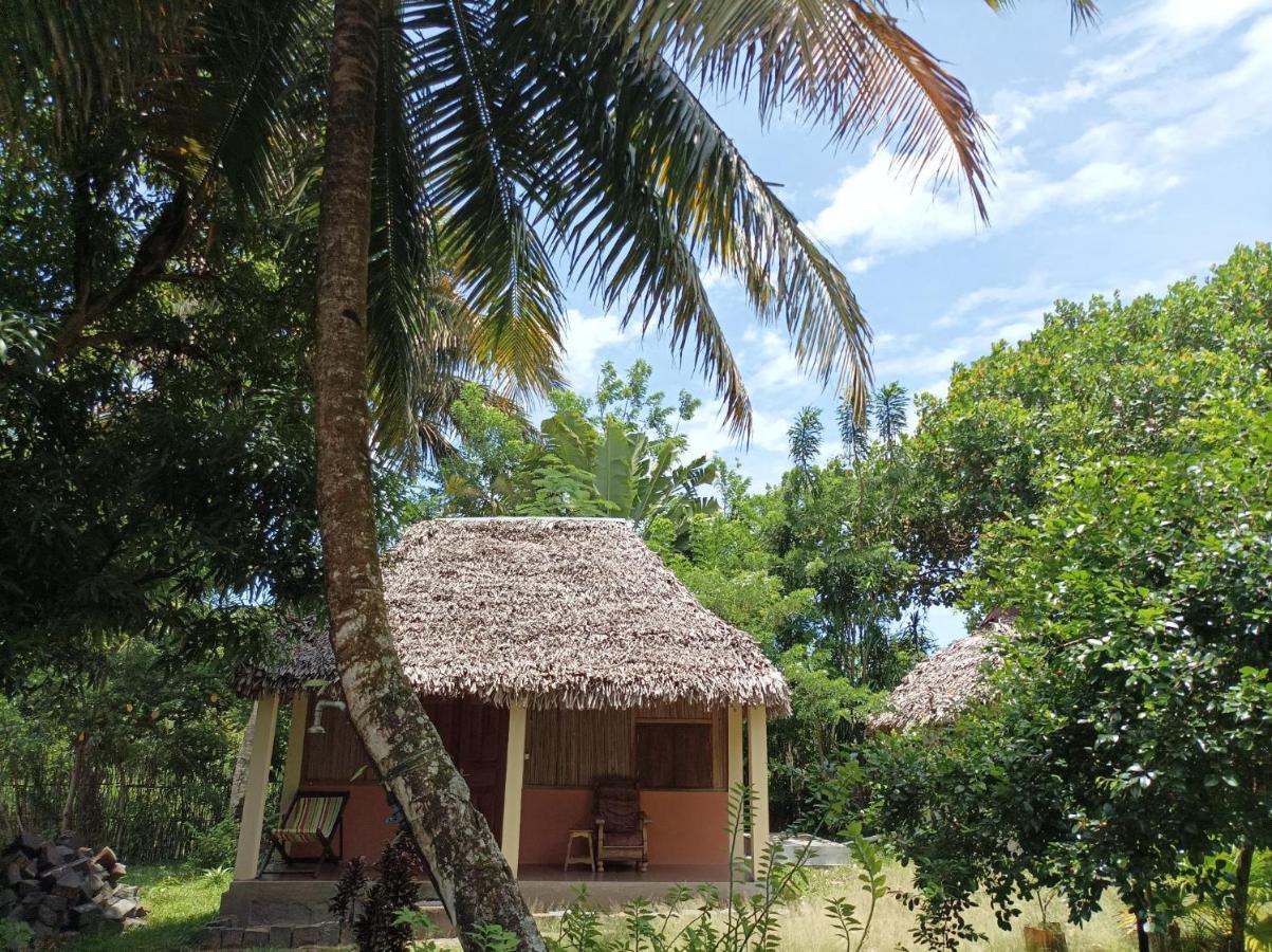 Onja Surf Camp Bed & Breakfast Mahambo Exterior photo