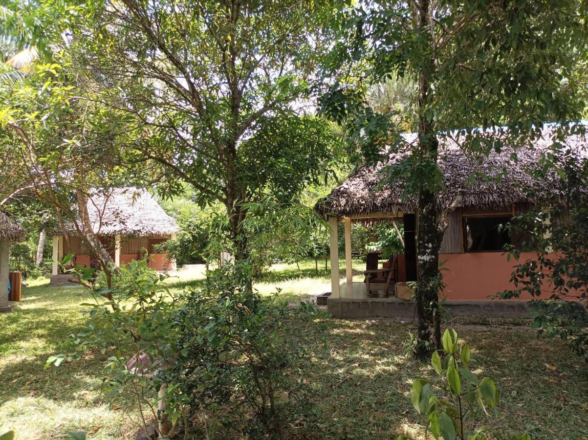 Onja Surf Camp Bed & Breakfast Mahambo Exterior photo