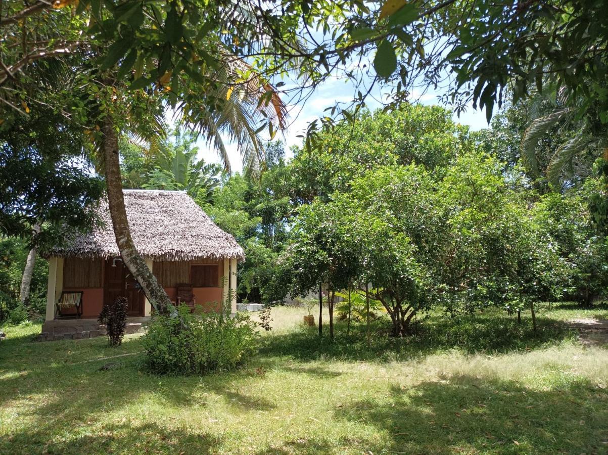 Onja Surf Camp Bed & Breakfast Mahambo Exterior photo